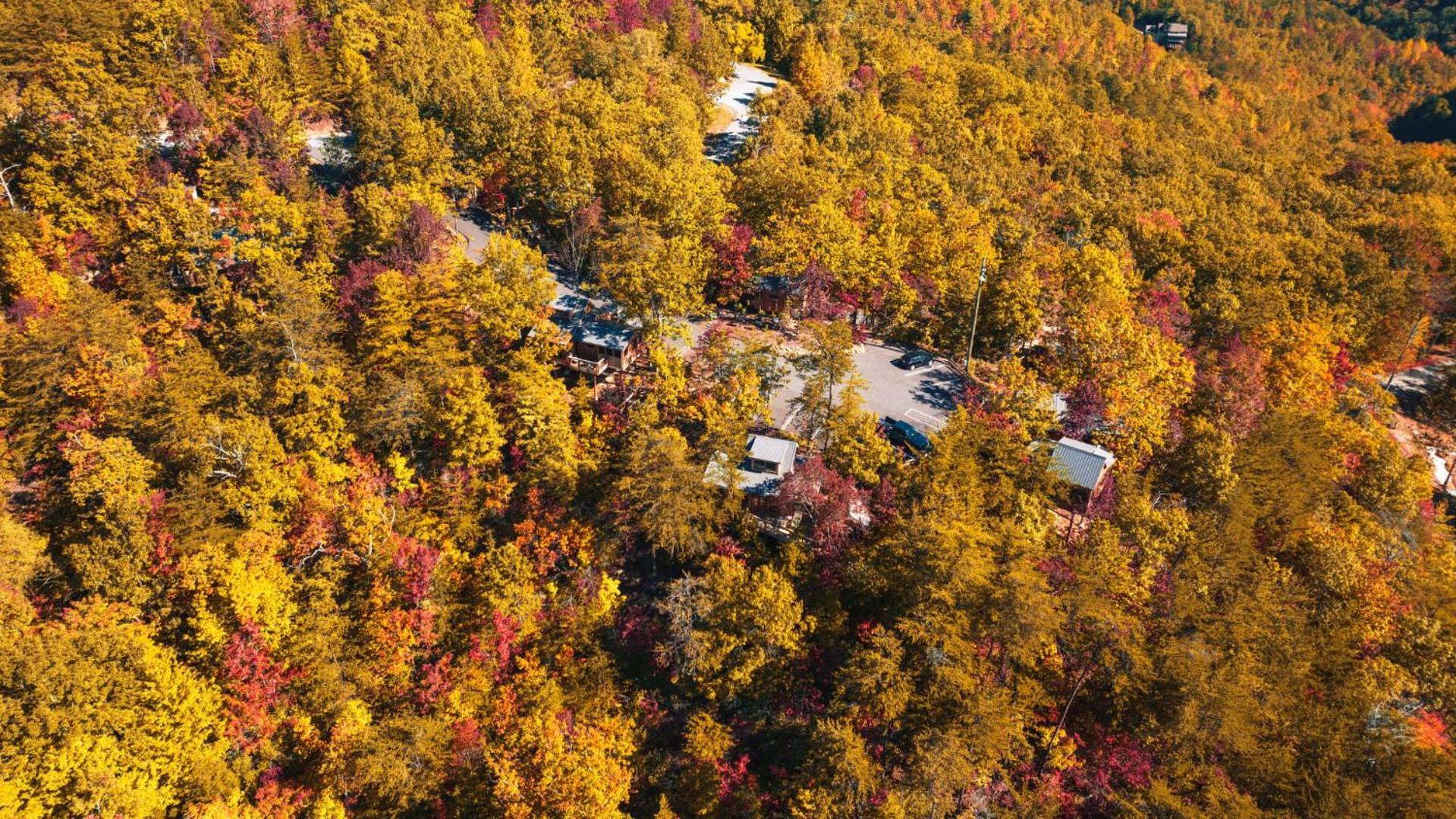 The Blackjack Oak In Treehouse Grove At Norton Creek Гатлинбург Экстерьер фото